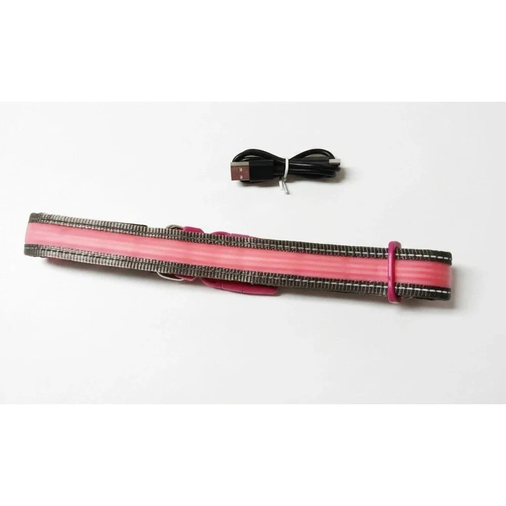 LED Lighted Safety Dog Collar Pink Size L USB Rechargeable Adjustable Nylon